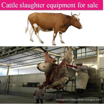 Beef Cattle Cow Slaughterhouse Abattoir Equipment